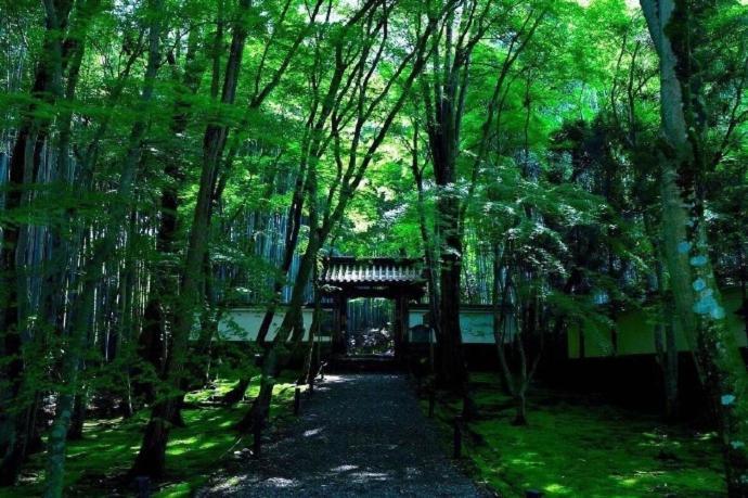 Kyoto-Toji House Aparthotel Kültér fotó